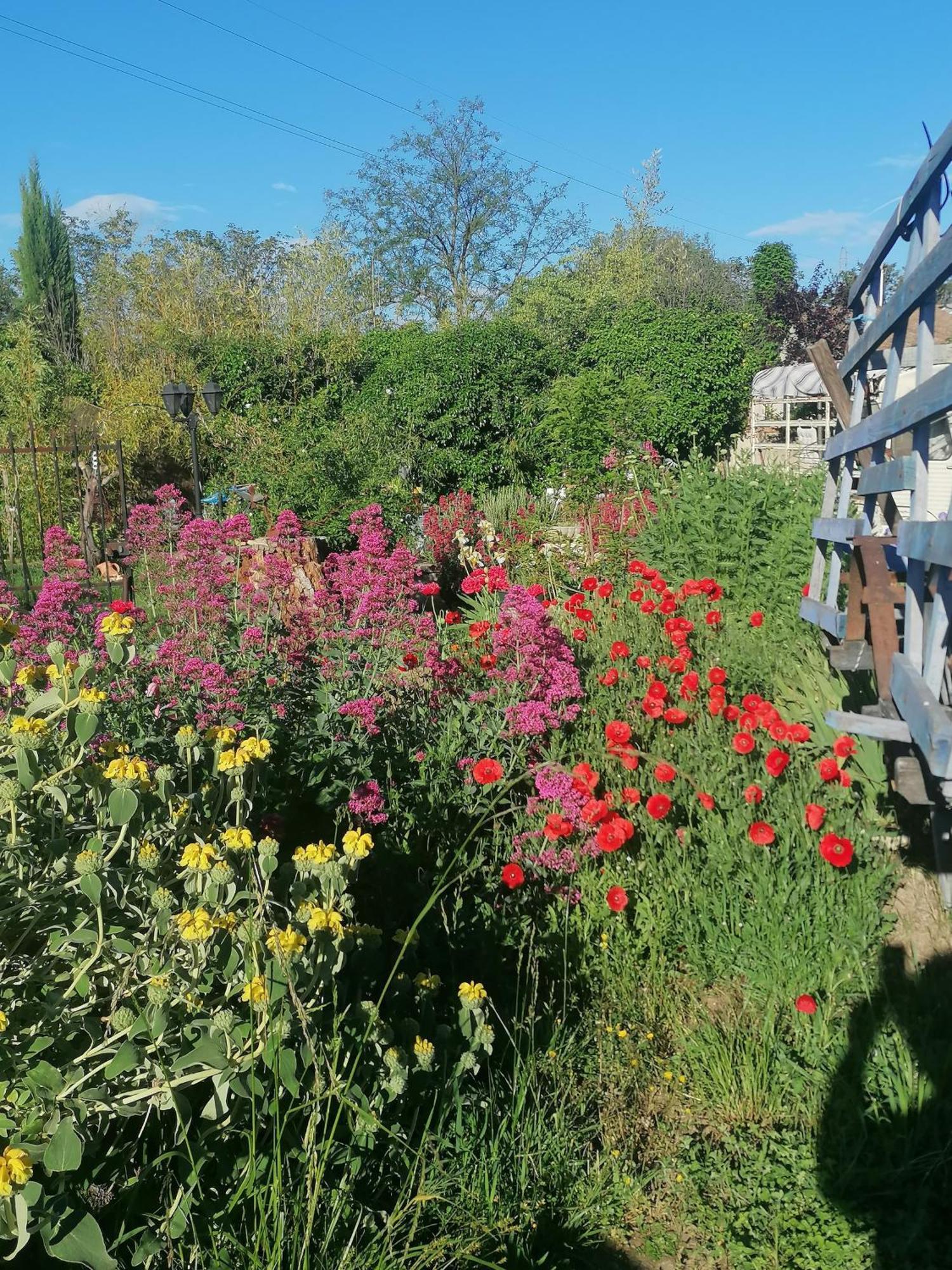 La Fee Viviane Et Michel L'Enchanteur Robion en Luberon Exterior photo
